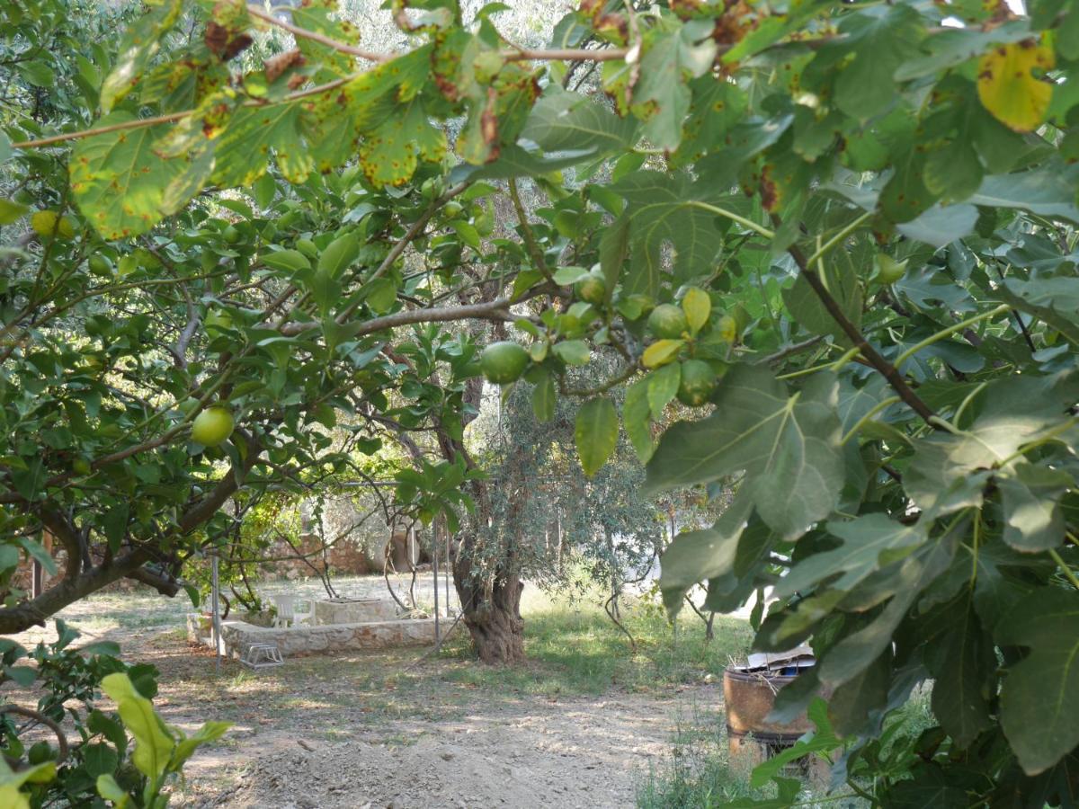 O Pyrgos Accommodations Panormos  Exterior photo
